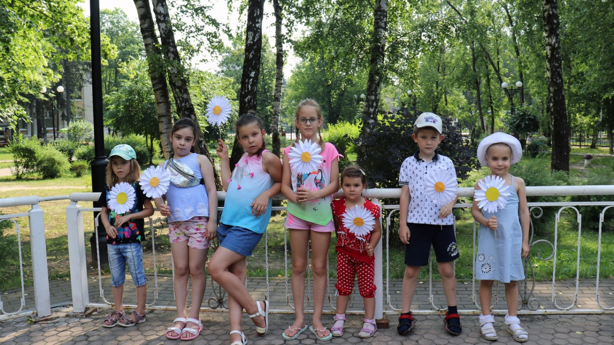 Ромашка белая