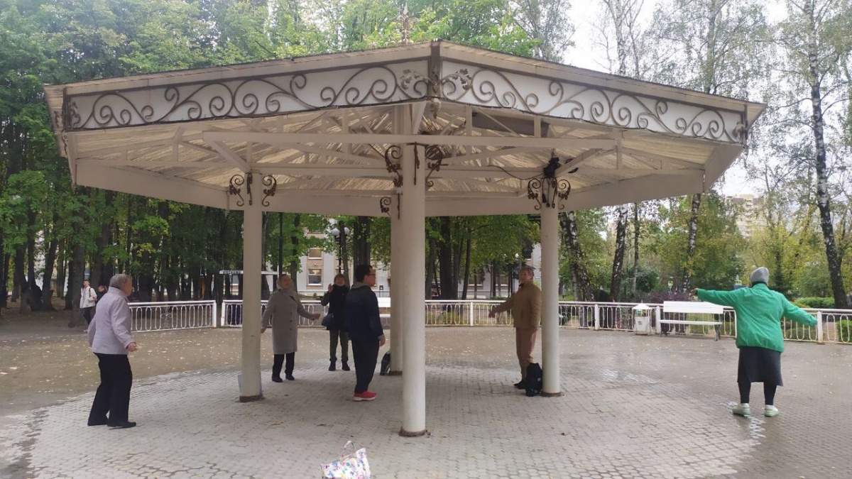 Мелодии дождя