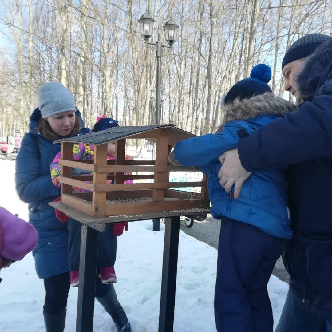 Птичья столовая